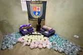 Cão da PM encontra 200 kg de drogas em “casa bomba” na zona oeste