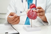 Estudo revela bebidas que podem prevenir paradas cardíacas; veja