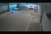 Câmera de segurança flagra abandono de cadela em rua do DF. Vídeo