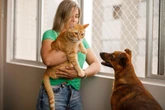 Seu cachorro “morre” de ciúmes de você? Veja por que e como resolver