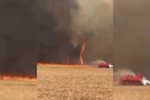 Cidade no interior de SP tem aulas suspensas após incêndio florestal