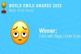 Saiba qual emoji foi escolhido como o que melhor representa 2025