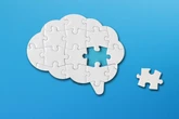 Novo remédio protege barreira cerebral e pode ajudar no Alzheimer
