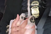 Polícia Civil resgata filhotes de arara vendidos ilegalmente no DF