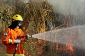 DF: inscrições para seleção de brigadistas florestais vão até 28/6