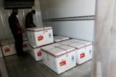 Rio aguarda a chegada de 132.450 doses da vacina da Janssen