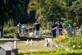 Média móvel de mortes por Covid-19 no DF fica estável em 21,4