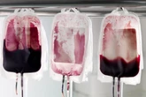 Especialista tira dúvidas sobre doação de sangue em tempos de pandemia