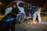 Cão da PRF encontra 13,5 kg de maconha escondidos em assoalho de carro