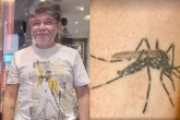 Biólogo tatua Aedes aegypti no braço em “homenagem” ao mosquito