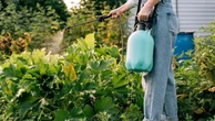 West Nile, adesso siamo in grado di prevedere i nuovi focolai