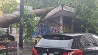 Il Nord Italia nella tempesta, donna schiacciata da un albero. Oggi ancora allerta per 12 regioni
