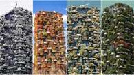 Le quattro stagioni del Bosco verticale: grattacielo di ghiaccio, foliage e tripudio di verde