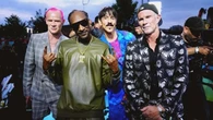 Red Hot Chili Peppers, Warner compra il loro catalogo per 300 milioni di dollari