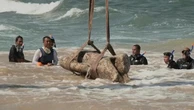 Egitto, antichi reperti di una città sommersa riemergono dal mare