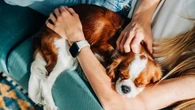 ‘Pet lover’ alfieri della sostenibilità diffusa