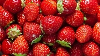 Fake news sul cibo, "Le fragole causano allergia?": la risposta dell'esperto