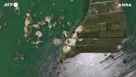 Esonda l'Eufrate, in Siria allagati campi e case - Le immagini dal drone