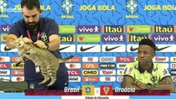 La maledizione del gatto dietro il flop di Ancelotti al Mondiale: i brasiliani ci credono