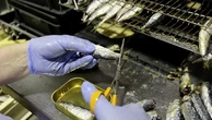 Diabete: i benefici delle sardine