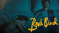 Bad Bird, l'eros incontra il cinema d'autore. In streaming su MYmovies la sensuale opera prima di Li Tan