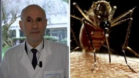 Dengue, l'infettivologo: "Possiamo prenderla anche a casa nostra. Ecco come difendersi"