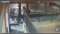 Brescia, rapine violente intorno alla stazione: otto arresti. Le immagini delle aggressioni