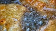 "Foodish" di Joe Bastianich: con la frittura di mare Federico Teresi batte tutti