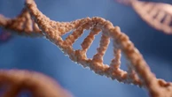 Deficit di AADC: somministrata per la prima volta in Italia la terapia genica a un bimbo di 3 anni