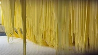 Gragnano, dove nasce la pasta: "Se sbagli l'acqua cambia anche il colore"