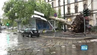 Nubifragio a Milano, albero cade su edicola in piazza Baiamonti