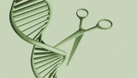 Infarto, ictus e aritmie: organoidi, terapia genica e AI. Come la ricerca salverà il cuore