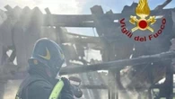 Incendio in un ippodromo a Treviso: morti almeno sei cavalli