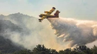 Incendi, allarme della Regione: “Catastrofe ecologica, persi 700mila alberi: 70 anni per rimediare”