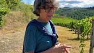 In vigna con Maurizia Di Napoli: "Panzano merita di diventare micro area del Chianti Classico"