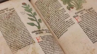 Manoscritto di Voynich: ecco come è stato decifrato il libro più misterioso al mondo