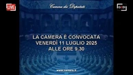 Camera, interpellanze urgenti al Ministro del lavoro Calderone e dell'economia Giorgetti - Diretta