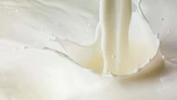 Moregrana, Grana Padano presenta i risultati del progetto