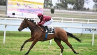 La cavalla di Allegri vince a Capannelle: trionfo di Star of Life nel Criterium