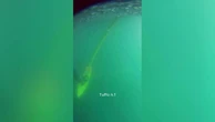 Vela, il tuffo imprevisto di Ambrogio Beccaria nell'Oceano verso il circolo polare artico