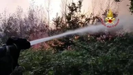 Calabria, il fuoco minaccia le Foreste Vetuste nel Parco Aspromonte
