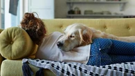 Petcare, maggior empatia e capacità di ascolto tra i bambini che si relazionano con gli animali