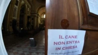 Verona, la chiesa dove i cani cercano la grazia divina. Ma non la trovano: “Il cane qui non entra”