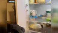 Il market della droga sintetica nel frigorifero e nel freezer di casa: un arresto a Milano