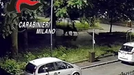 Colpi di machete al volto: arrestati due giovani di 17 anni per tentato omicidio