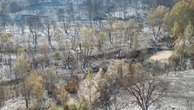 Francia, maxi-incendio nell'Aude: 16000 ettari andati in fumo, il drone sorvola le zone del disastro