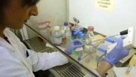 Covid: così la pandemia ha rallentato la ricerca sul cancro
