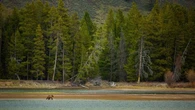 Strage di turisti sulla strada per Yellowstone, anche una italiana fra le vittime