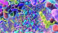 Antibiotici, l’intestino perde l’equilibrio? La soluzione è nel piatto