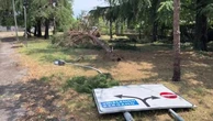 Maltempo Bergamo, gli alberi e cartelli stradali abbattuti dal vento